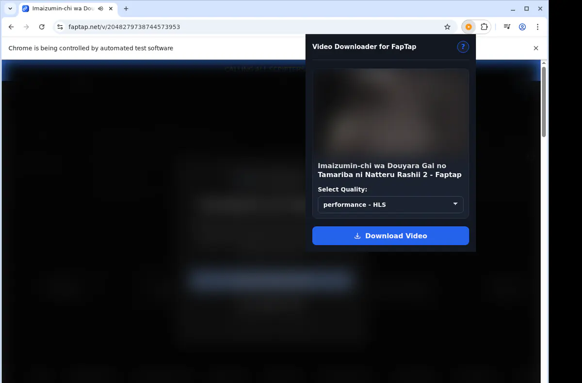Faptap Video Downloader browser extension screenshot 3